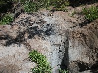 rrente Quarantore-20100606 052